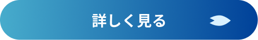 詳しく見る