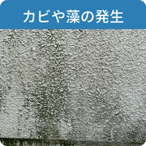 カビや藻の発生
